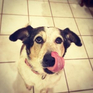 Meet your Posher, Lilly